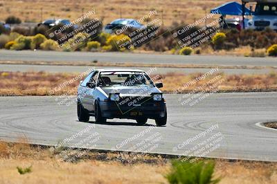 media/Nov-16-2024-Extreme Speed (Sat) [[6587d07cc4]]/Gold Group/Session 2 (Turns 3 and 5)/
